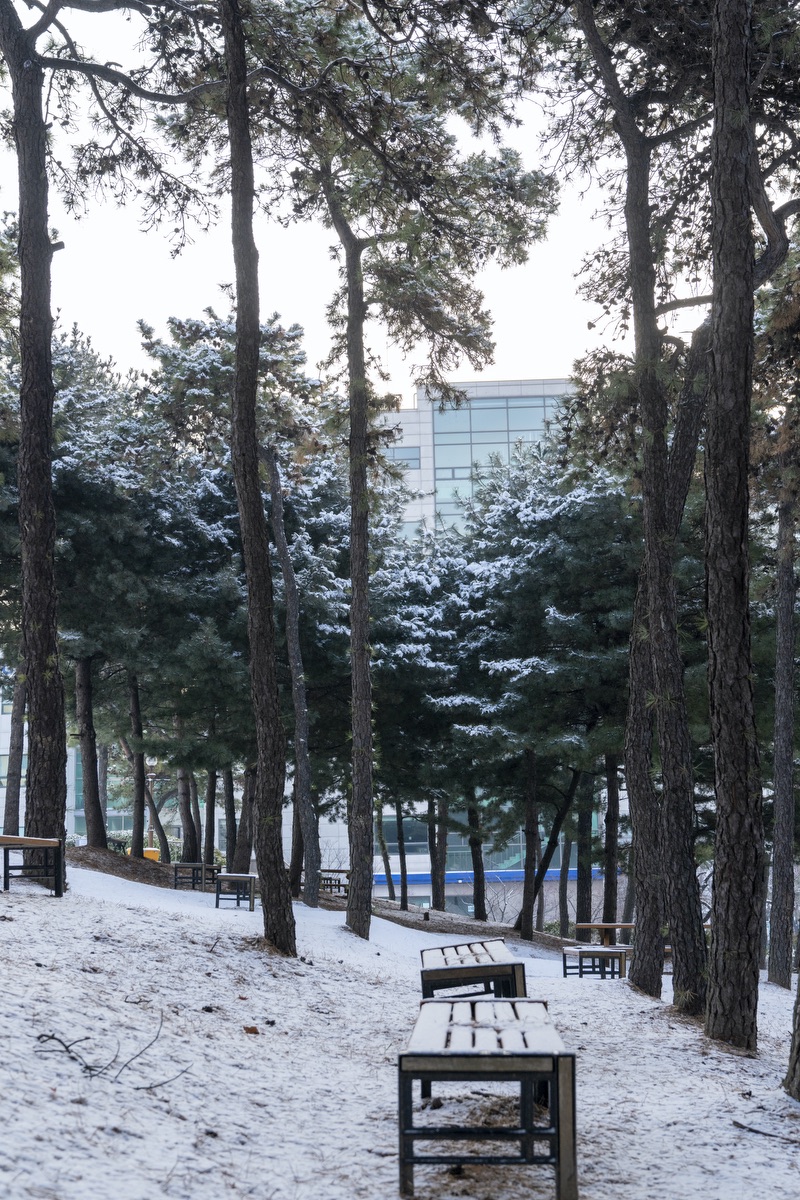 새하얗게 물들인 인하공전 Photo_15.jpg